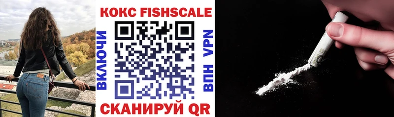 сколько стоит  MEGA сайт  Cocaine FishScale  площадка как зайти  Ладушкин 