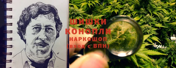 дживик Новозыбков