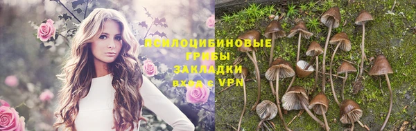 MDMA Няндома