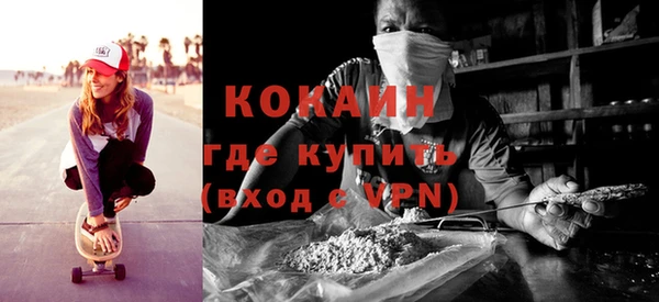 дживик Новозыбков
